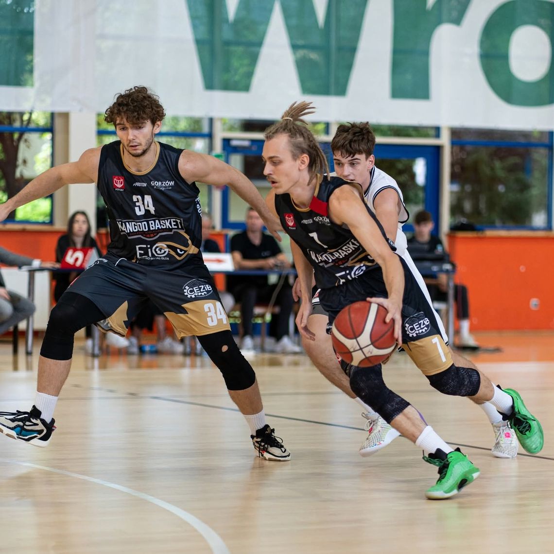 Kangury wracają na Warszawską