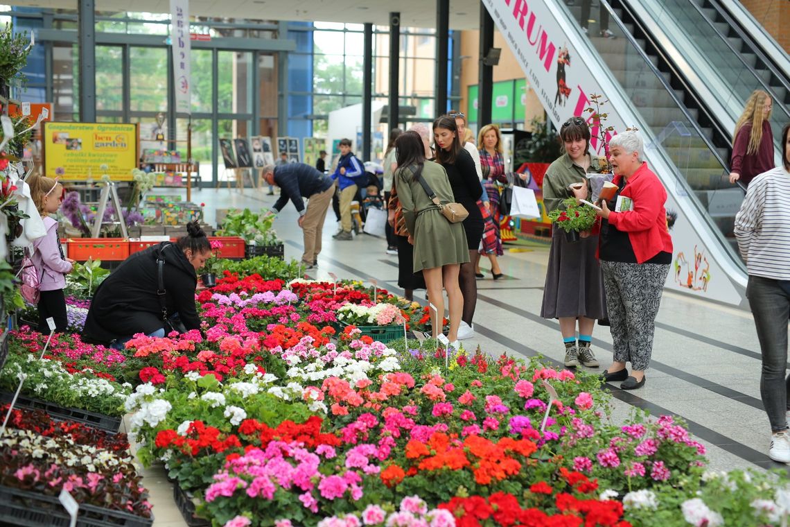 Piękne kwiaty i krzewy na Festiwalu Zieleni w Askanie