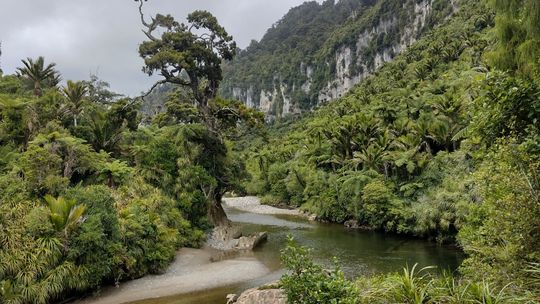 Adam Majgier, Piotr Pilecki - Ukryte Kolory Nowej Zelandii
