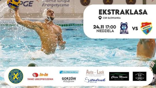 Alfa Gorzów - Waterpolo Szczecin