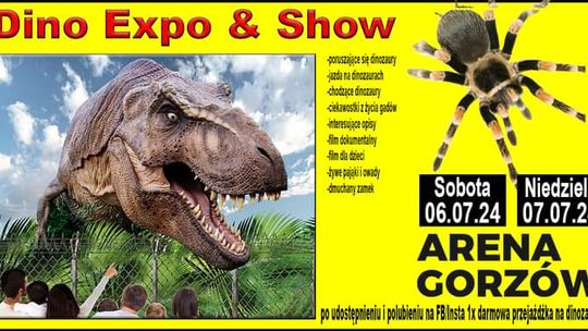 Dino Expo & Show & żywe pająki
