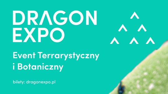 Event Terrarystyczny i Botaniczny Dragon Expo Event Terrarystyczny i Botaniczny Dragon Expo