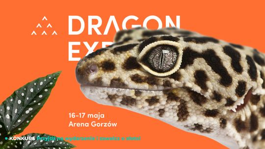 Event terrarystyczny i botaniczny Dragon Expo