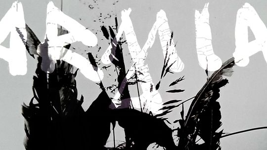 Koncert zespołu Armia