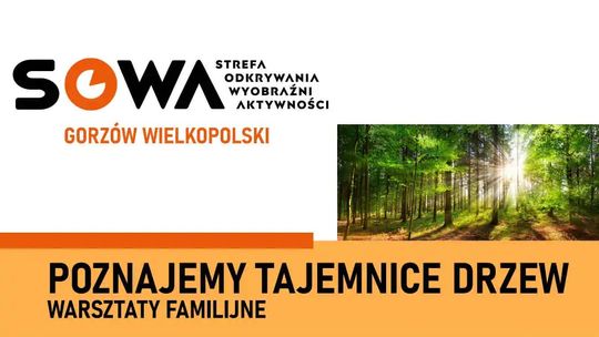 Poznajemy tajemnice drzew – warsztaty familijne w SOWA