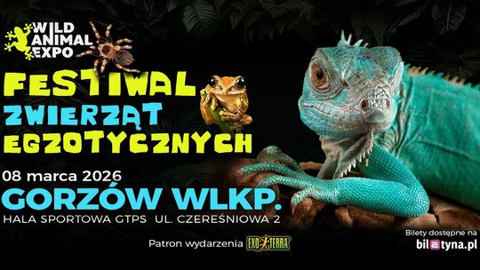 Targi Zwierząt Egzotycznych - wystawa
