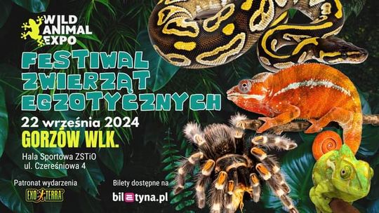 Wild Animal Expo - Festiwal Zwierząt Egzotycznych