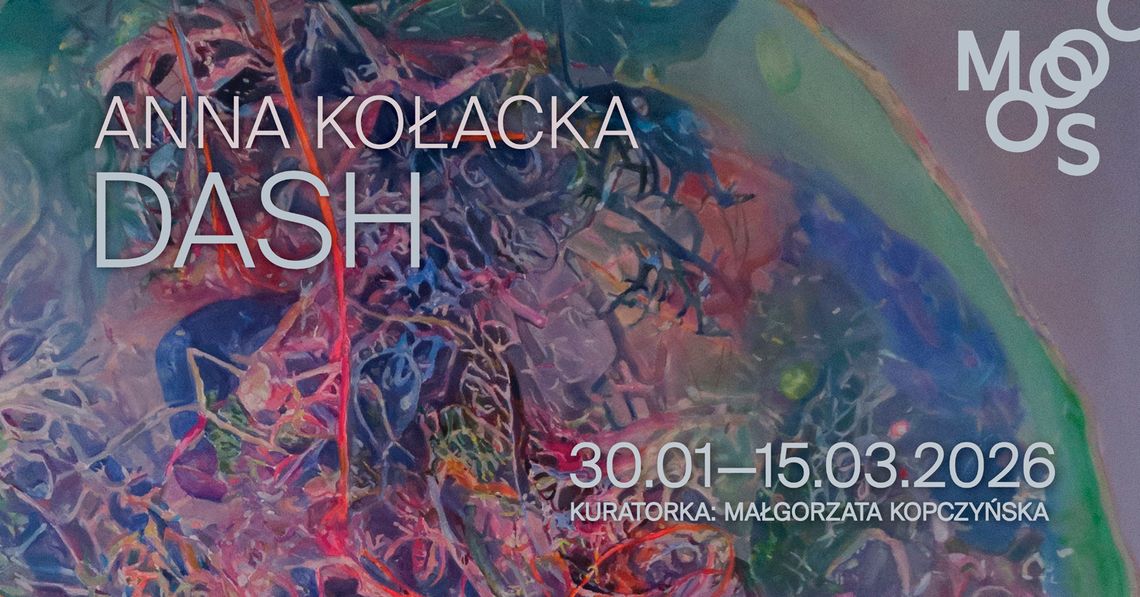 Anna Kołacka - Dash Anna Kołacka - Dash