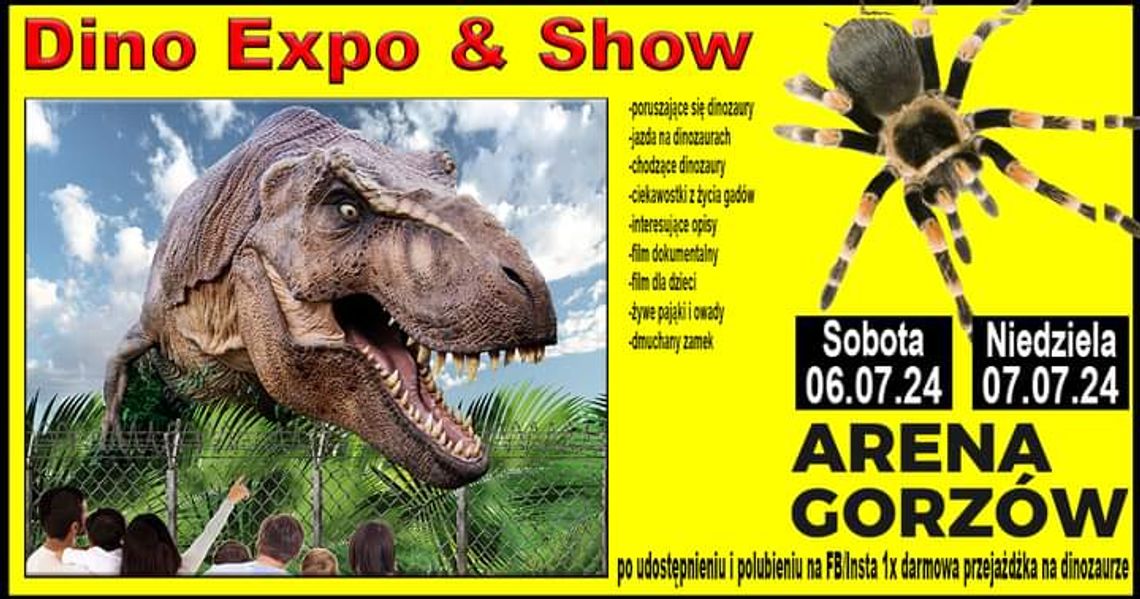 Dino Expo & Show & żywe pająki