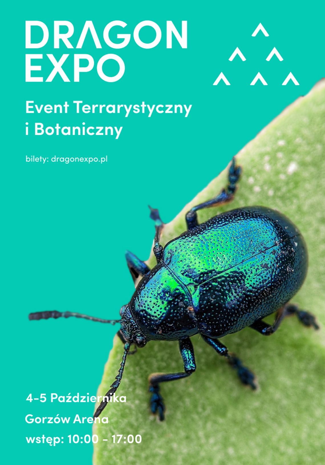 Event Terrarystyczny i Botaniczny Dragon Expo Event Terrarystyczny i Botaniczny Dragon Expo