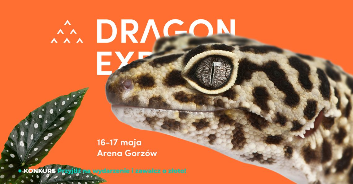 Event terrarystyczny i botaniczny Dragon Expo