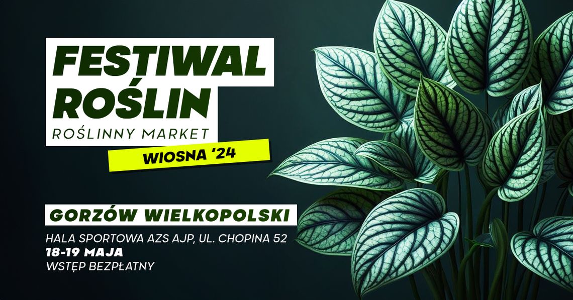 Festiwal roślin w Gorzowie