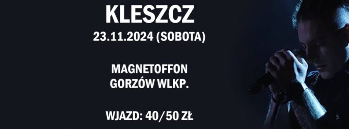 Kleszcz w MagnetOffOnie