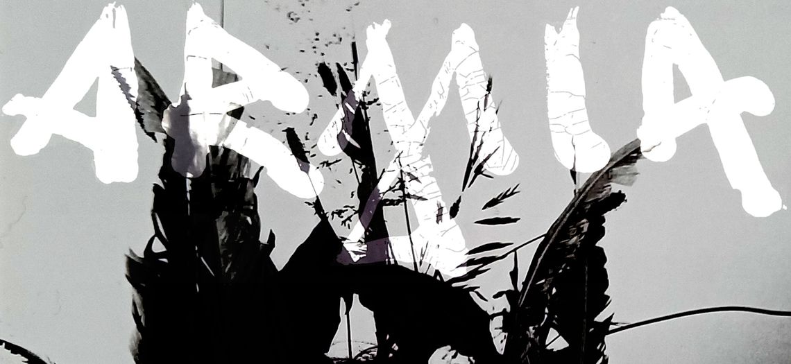 Koncert zespołu Armia