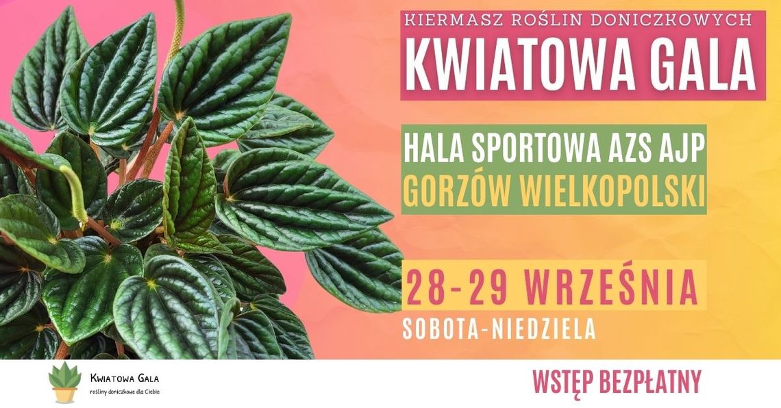 Kwiatowa Gala w Gorzowie