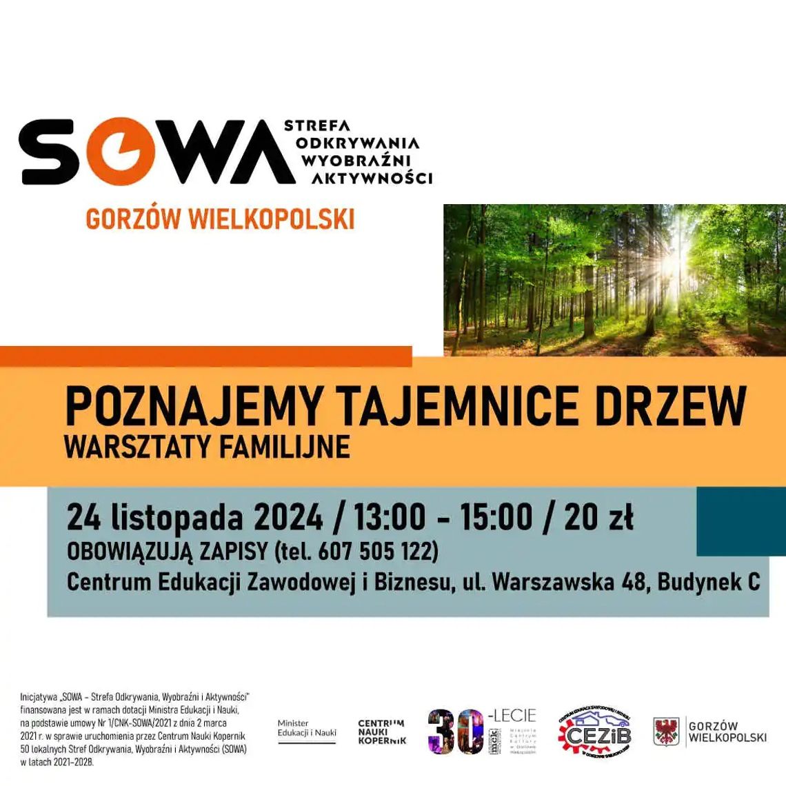 Poznajemy tajemnice drzew – warsztaty familijne w SOWA