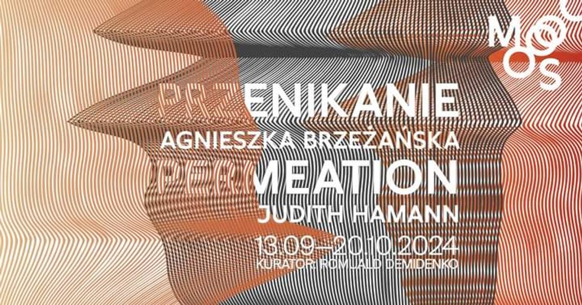 Przenikanie / Permeation - wystawa