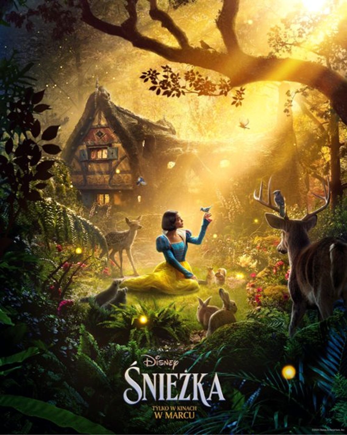 Śnieżka - Premiera Kino Helios Śnieżka - Premiera Kino Helios