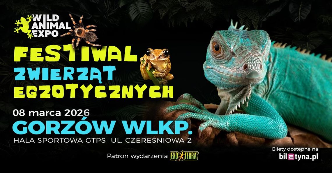 Targi Zwierząt Egzotycznych - wystawa