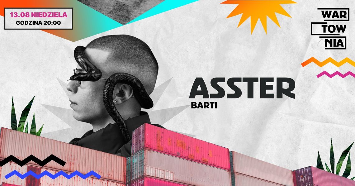Wartownia: ASSTER Wartownia: ASSTER