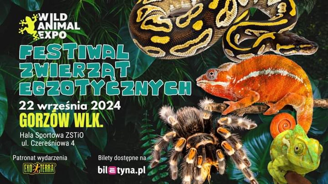 Wild Animal Expo - Festiwal Zwierząt Egzotycznych