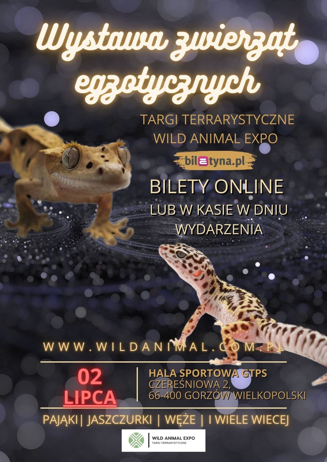 Wystawa zwierząt egzotycznych - Targi terrarystyczne